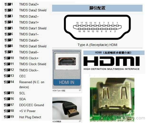 HDMI TYPE A.jpg