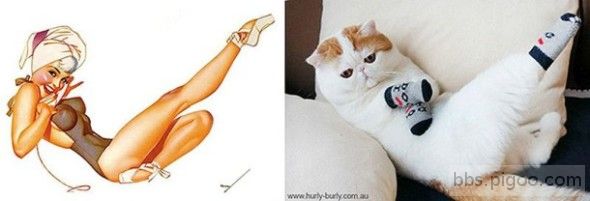 pinupcats20-610x208-590x201.jpg