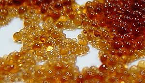 300px-Ion_exchange_resin_beads.jpg
