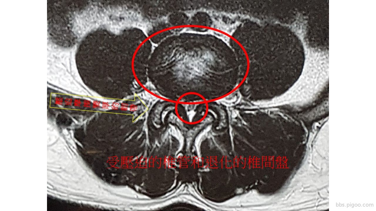 投影片1.JPG