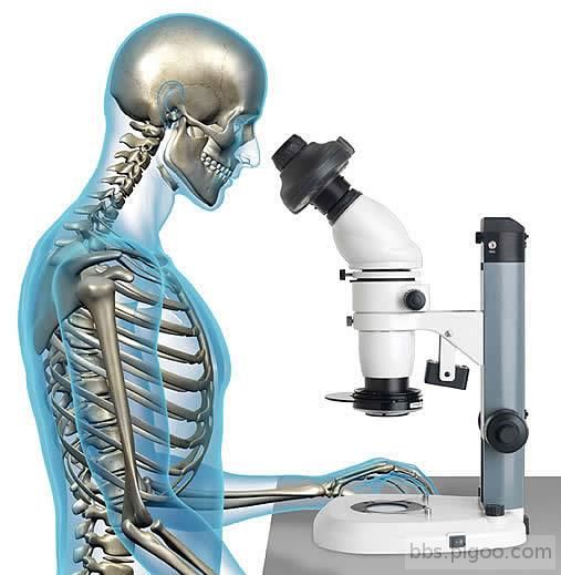 Ergo80-stereo-microscope-showing-skeleton-ergonomics-03-507px_507.jpg