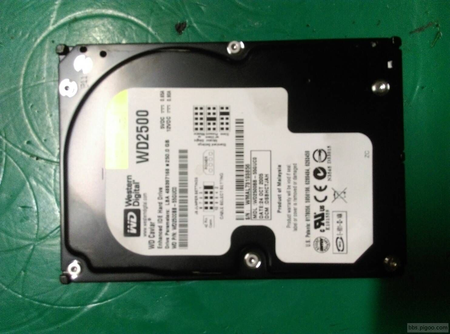 WD 250G-2