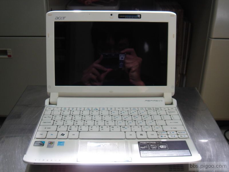 acer 001.JPG