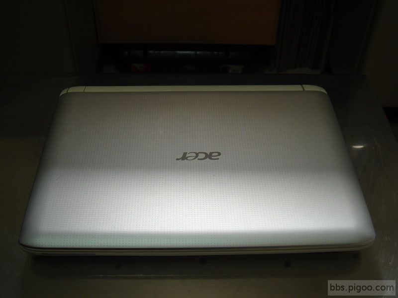 acer 002.JPG