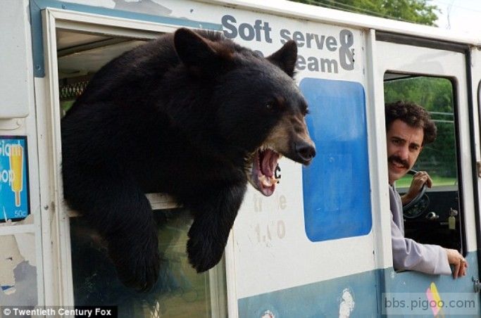 ice_cream_bear.jpg