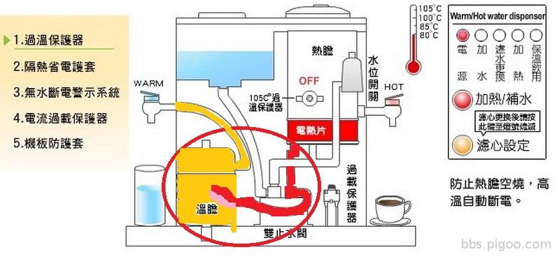 溫水膽 構造 :