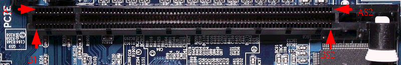 800px-PCI-Express-Bus.gif