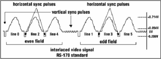 NTSC2.jpg