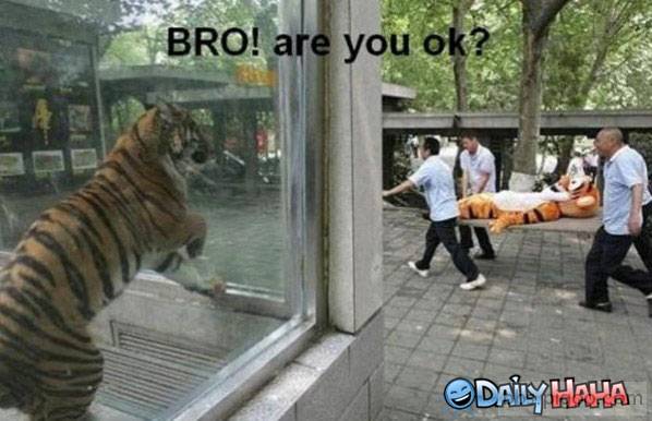 bro-you-ok.jpg