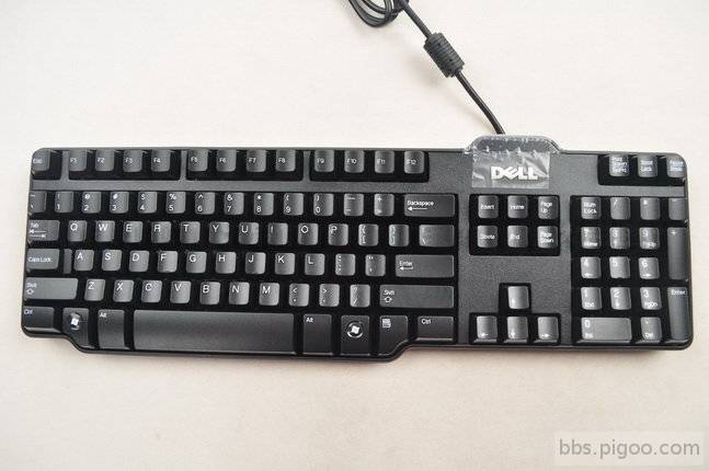 戴爾DELL 經典款鍵盤 SK-8115.jpg