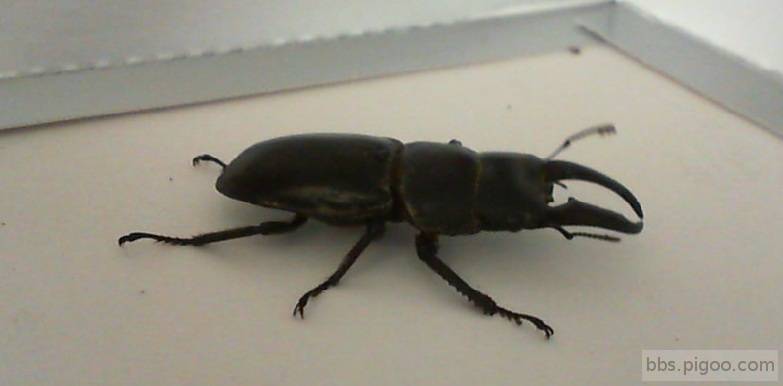 20110915_NEWPET.jpg