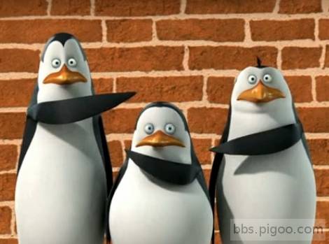 Not-Me-penguins-of-madagascar-18270082-470-349.jpg
