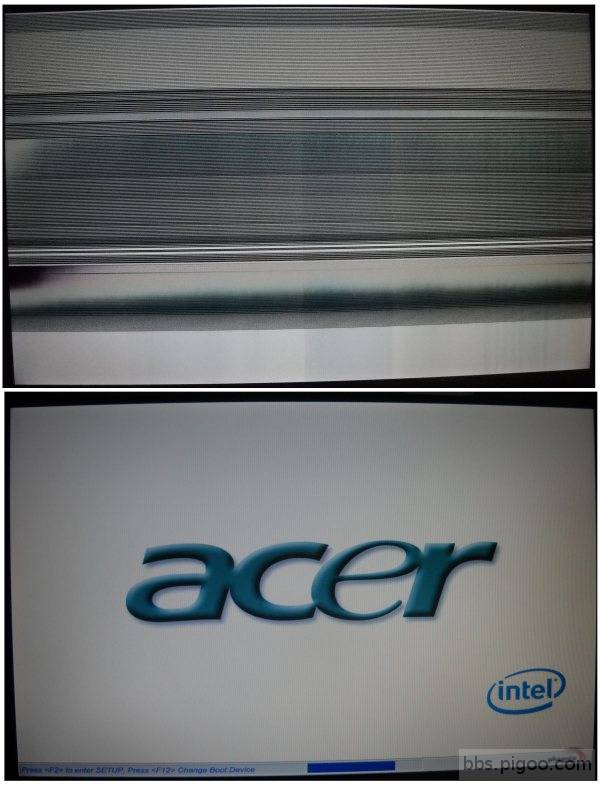 acer.jpg