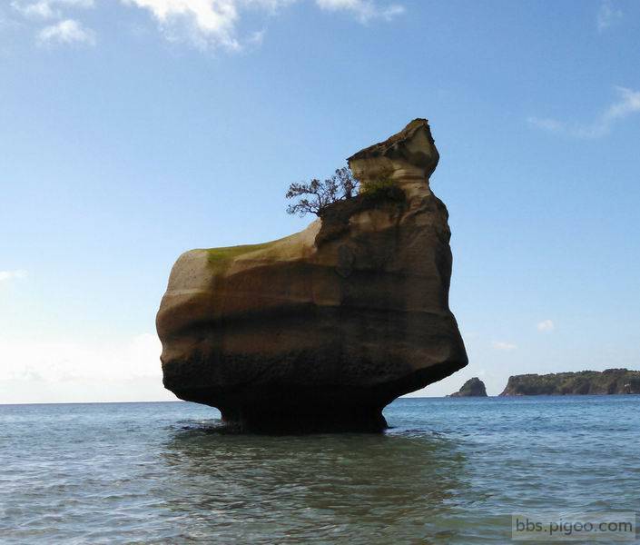 1-rock_in_ocean_NZ~2 (1).jpg
