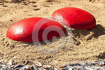 sea-shells-red-stone-sand-yellow-64910046.jpg
