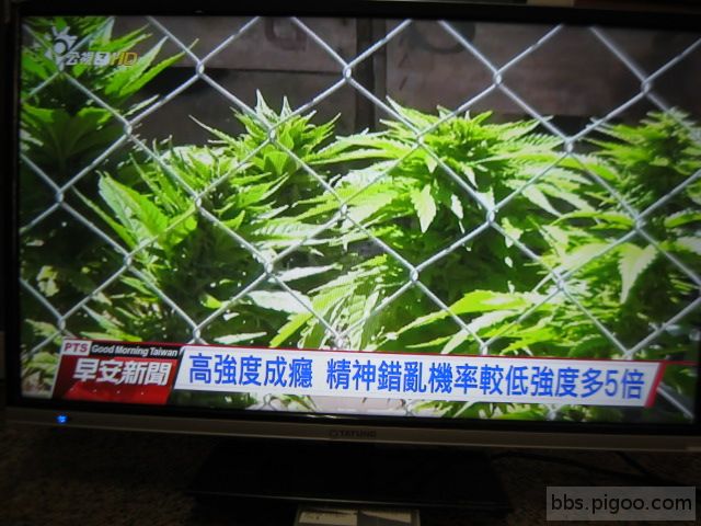 燒機   謝謝