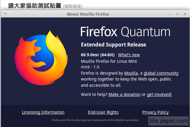 firefox_60.9.0esr_X64_on_linux.png