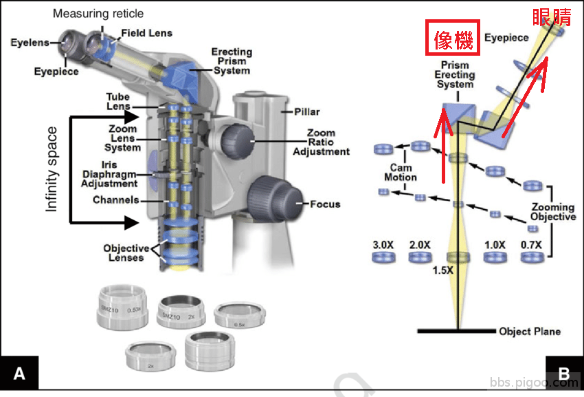 Anatomy-of-a-stereomicroscope-A-Cutaway-view-of-the-internal-components-and-optical-e.png