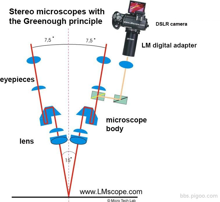 Are normal stereo microscopes suitable for high-quality photographic documentation.jpg