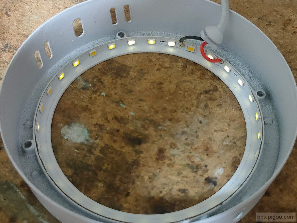 pic5.jpg