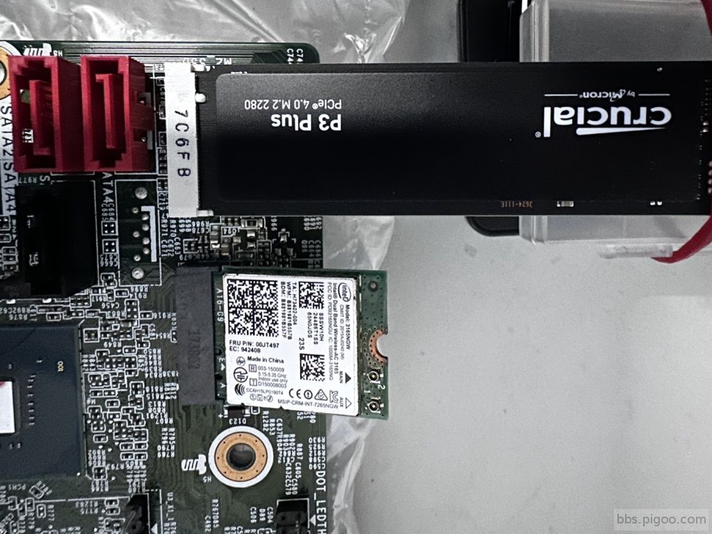 SSD WIFE.jpg