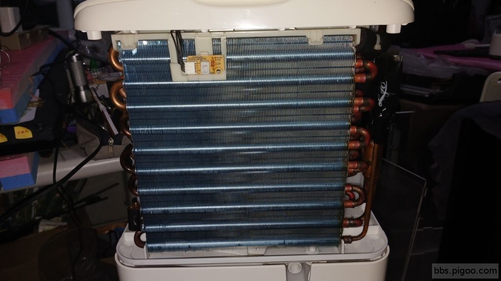 20251231_174440 (複製).jpg