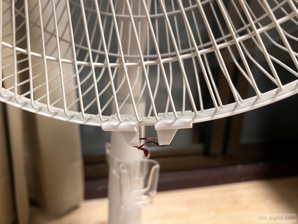 S__19087410_0.jpg