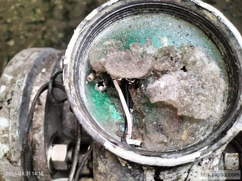 防水膠泡水.jpg