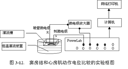 AgCl_Ag電極.gif