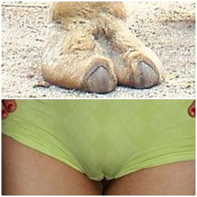 mixed camel\'s toe.jpg