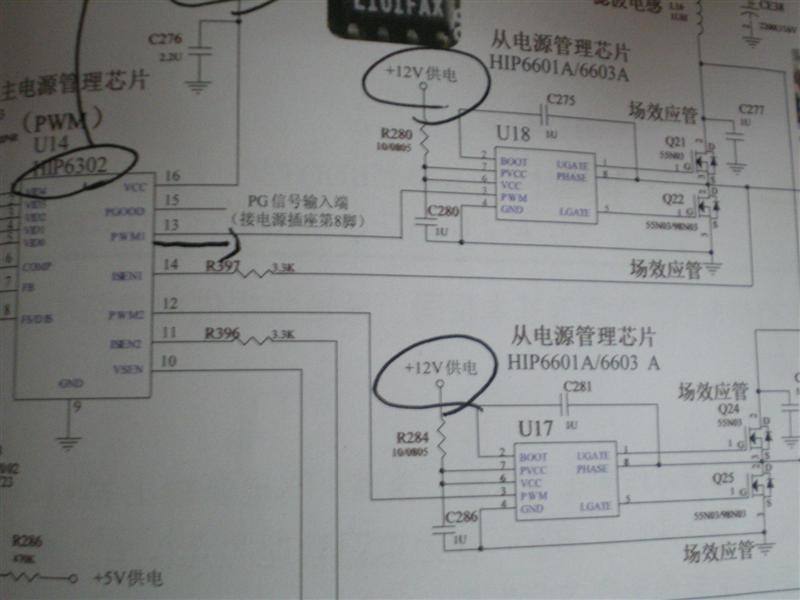 5 (中型).jpg