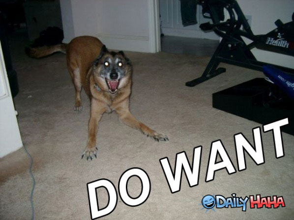 do-want2.jpg