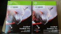 希捷 IronWolf Pro 8TB 五年保 保固到2025